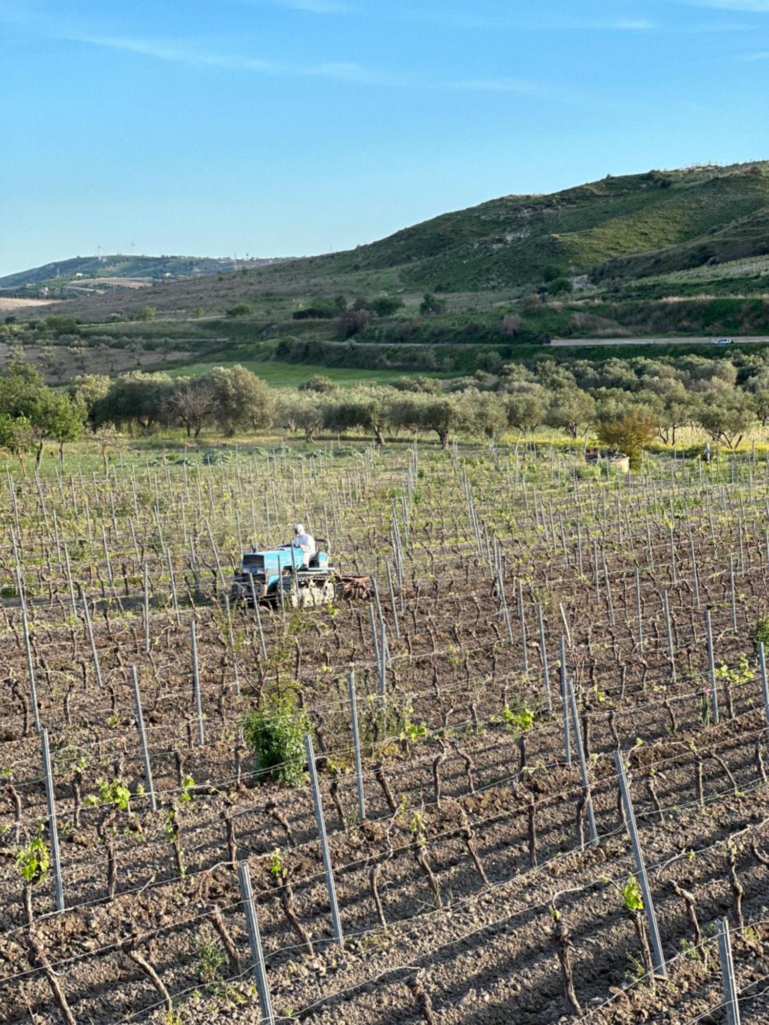 Akragaroom Agrigento Buitenkant foto